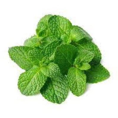 Mint Leaves