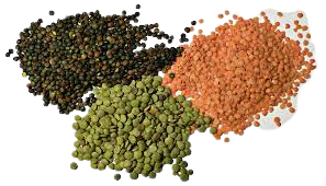 Lentils & Beans